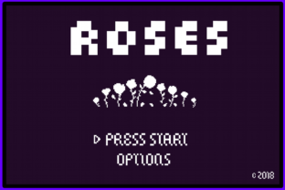 8 Bit Roses: A Retro Display Font for Editorial Design