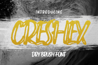 Creshex: A Bold Display Font for Editorial Impact