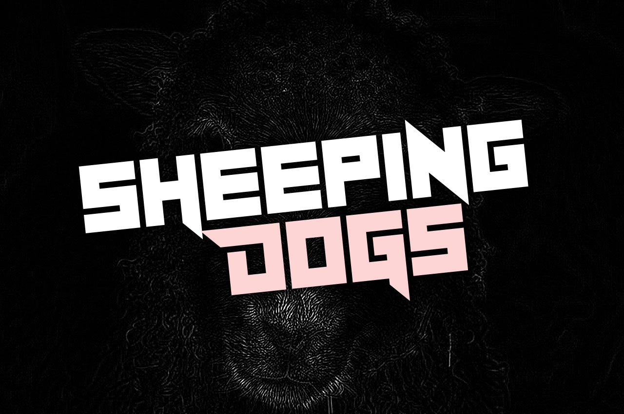 Sheeping Dogs: The Display Font That Powers Your Campaign Visuals