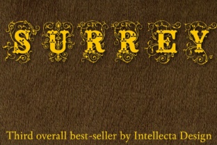 Surrey: A Vintage Display Font for Modern Web Design